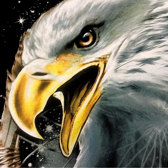 SOLD! Majestic Bald Eagle Dream Catcher T - Picture 2 of 6